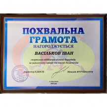 Плакетка з нанесенням ПОХВАЛЬНА ГРАМОТА з дерева та металу  - фото 2