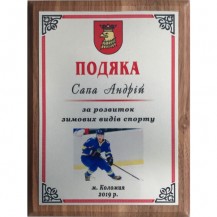 Плакетка з нанесенням КРАЩИЙ ГРАВЕЦЬ ХОКЕЙ  - фото 2