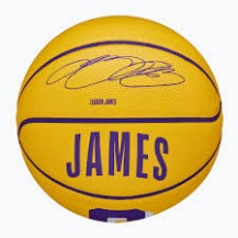 М'яч баскетбольний Wilson NBA PLAYER ICON MINI BSKT LEBRON size 3 Wilson