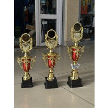 Кубок спортивний 